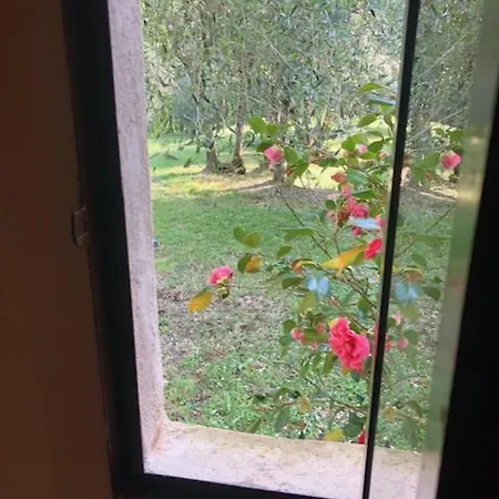 La Pieve Vakantieboerderij Colle di Val d'Elsa