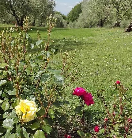 La Pieve