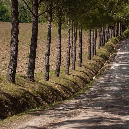 La Pieve Colle Val D'Elsa